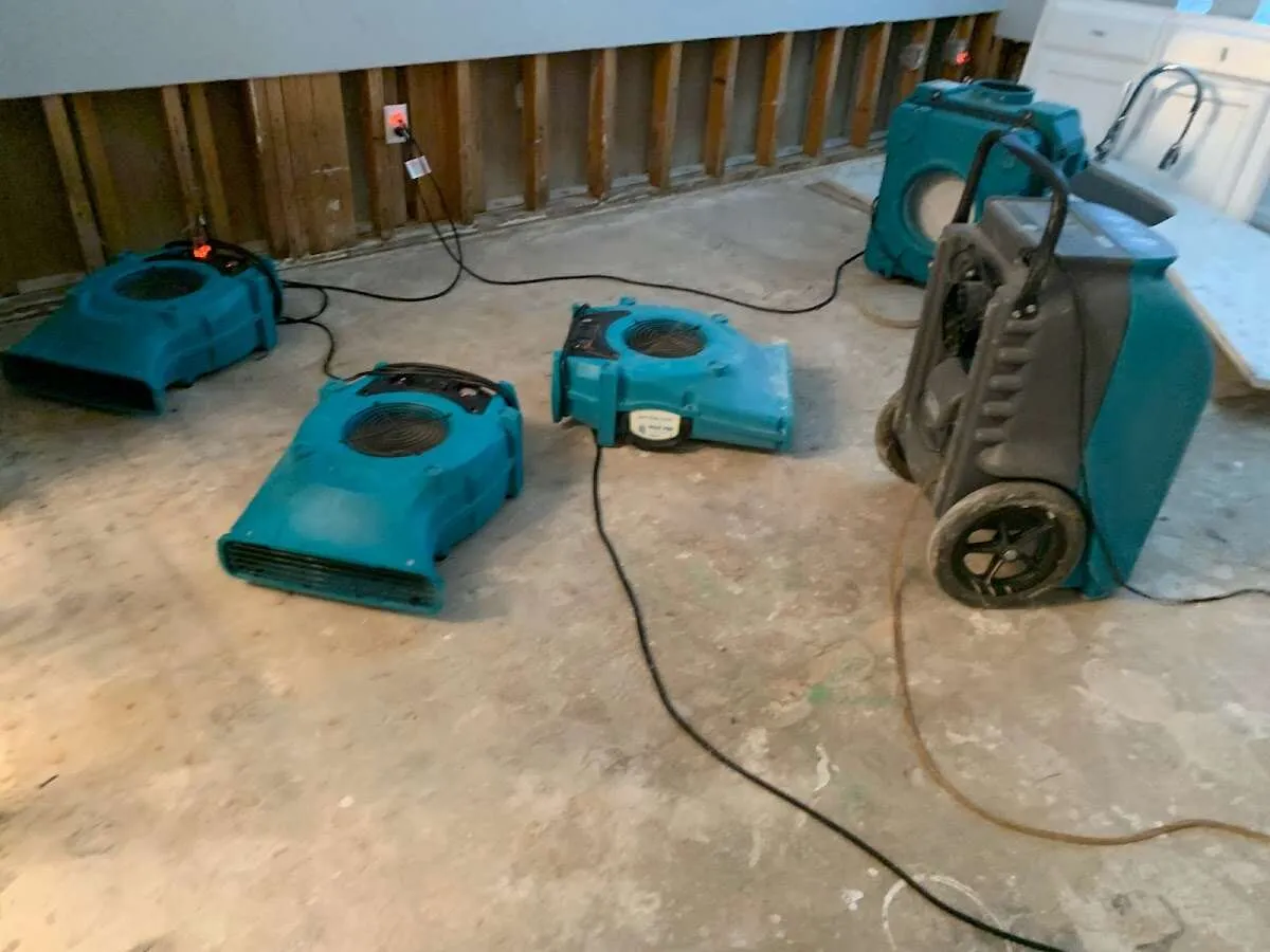 Water Mitigation Services in Waveland, MS